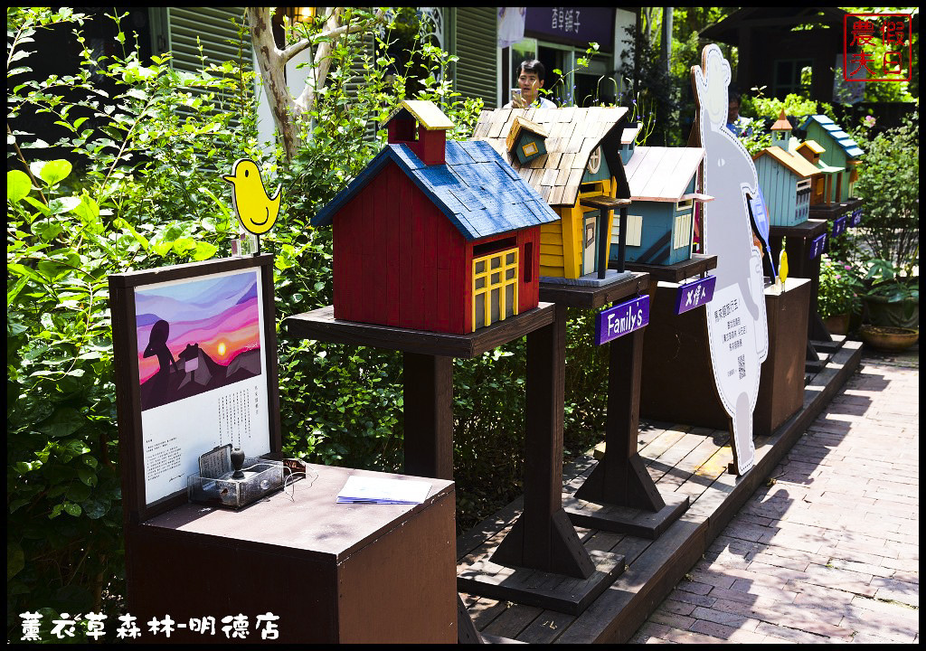 【苗栗旅遊】薰衣草森林明德店．漫遊在充滿綠意的園區裡/森林咖啡館/許願小徑/環湖步道/明德水庫 @假日農夫愛趴趴照