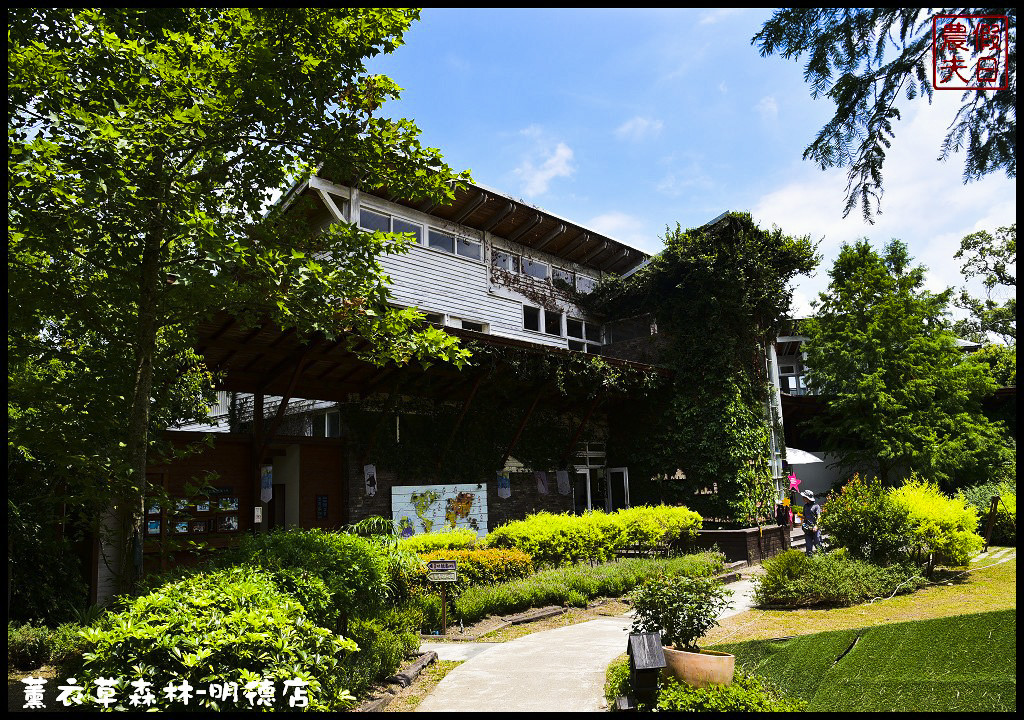 【苗栗旅遊】薰衣草森林明德店．漫遊在充滿綠意的園區裡/森林咖啡館/許願小徑/環湖步道/明德水庫 @假日農夫愛趴趴照