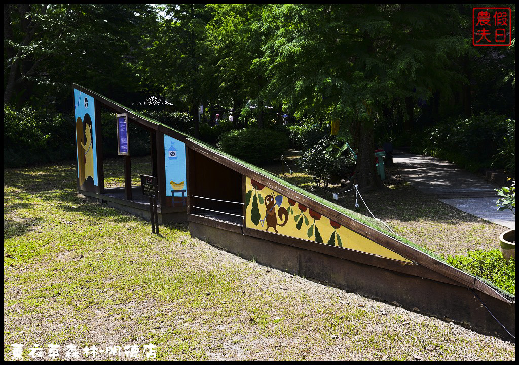 【苗栗旅遊】薰衣草森林明德店．漫遊在充滿綠意的園區裡/森林咖啡館/許願小徑/環湖步道/明德水庫 @假日農夫愛趴趴照