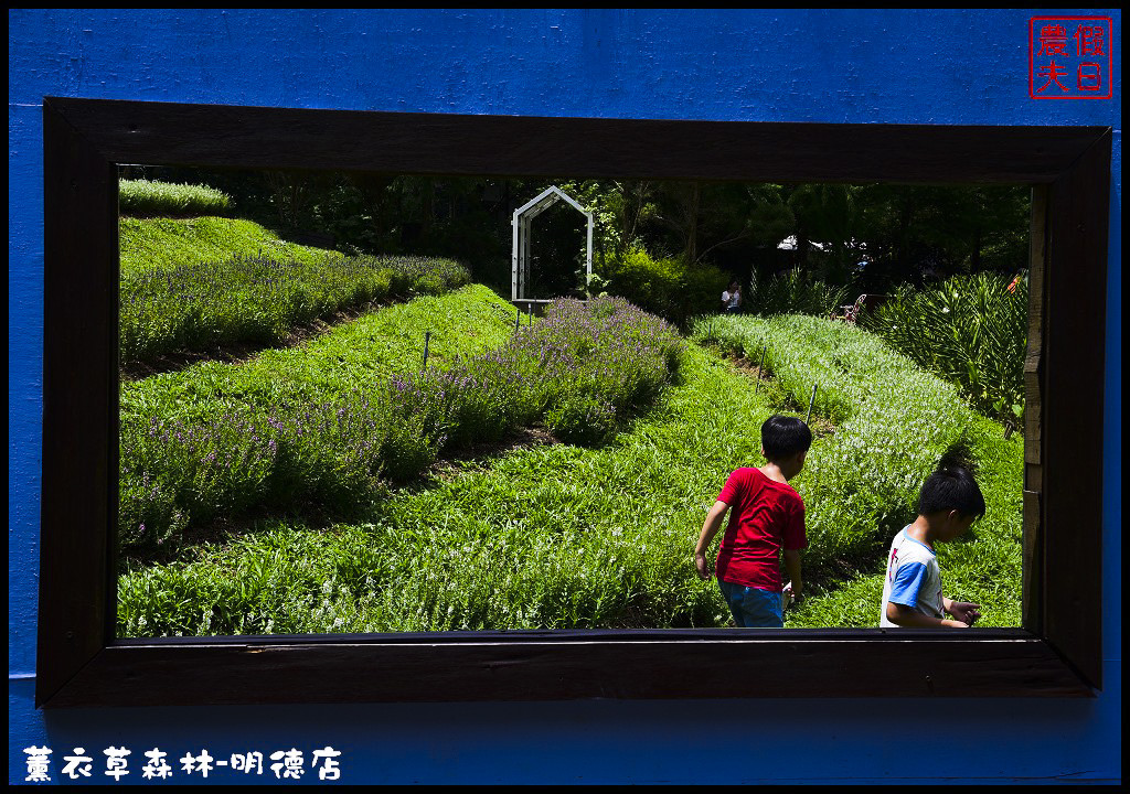 【苗栗旅遊】薰衣草森林明德店．漫遊在充滿綠意的園區裡/森林咖啡館/許願小徑/環湖步道/明德水庫 @假日農夫愛趴趴照