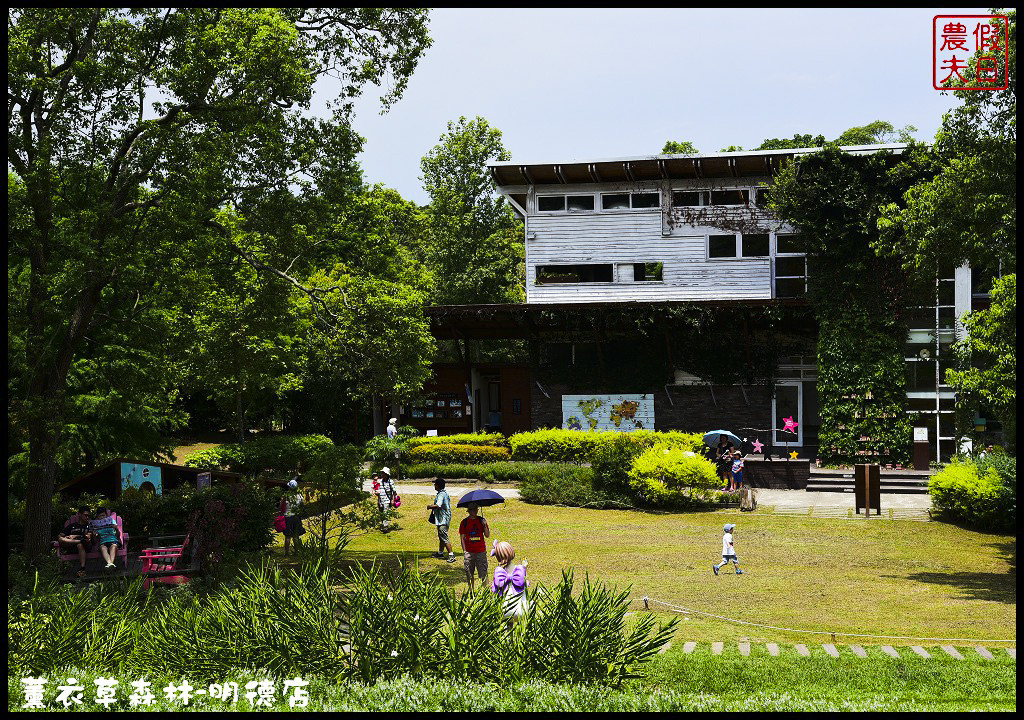 【苗栗旅遊】薰衣草森林明德店．漫遊在充滿綠意的園區裡/森林咖啡館/許願小徑/環湖步道/明德水庫 @假日農夫愛趴趴照