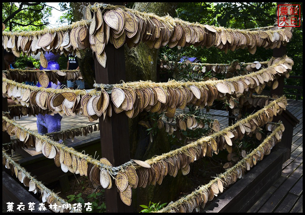 【苗栗旅遊】薰衣草森林明德店．漫遊在充滿綠意的園區裡/森林咖啡館/許願小徑/環湖步道/明德水庫 @假日農夫愛趴趴照