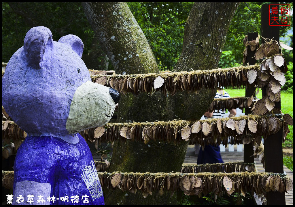 【苗栗旅遊】薰衣草森林明德店．漫遊在充滿綠意的園區裡/森林咖啡館/許願小徑/環湖步道/明德水庫 @假日農夫愛趴趴照