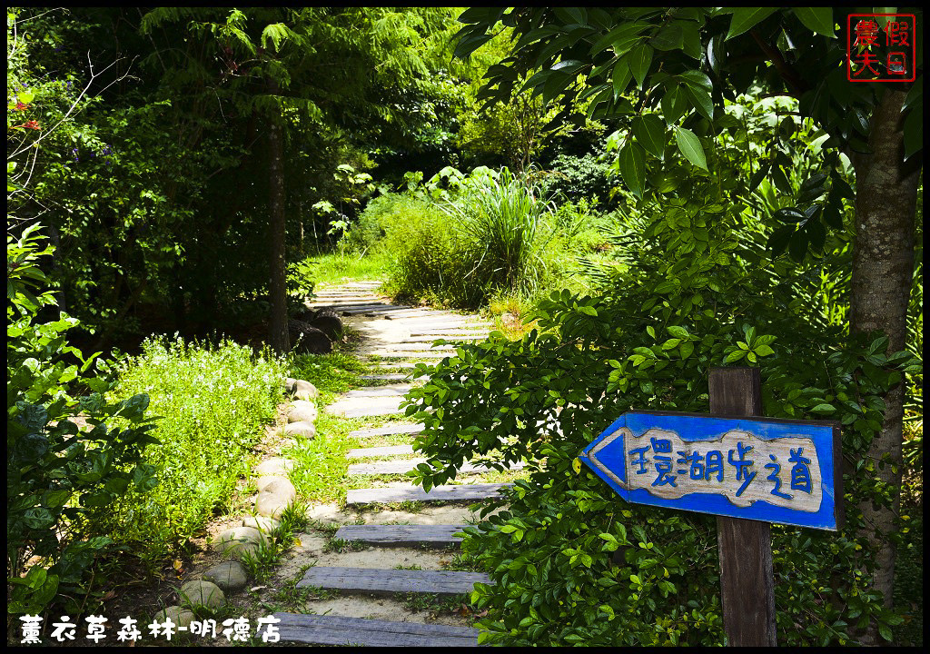 【苗栗旅遊】薰衣草森林明德店．漫遊在充滿綠意的園區裡/森林咖啡館/許願小徑/環湖步道/明德水庫 @假日農夫愛趴趴照