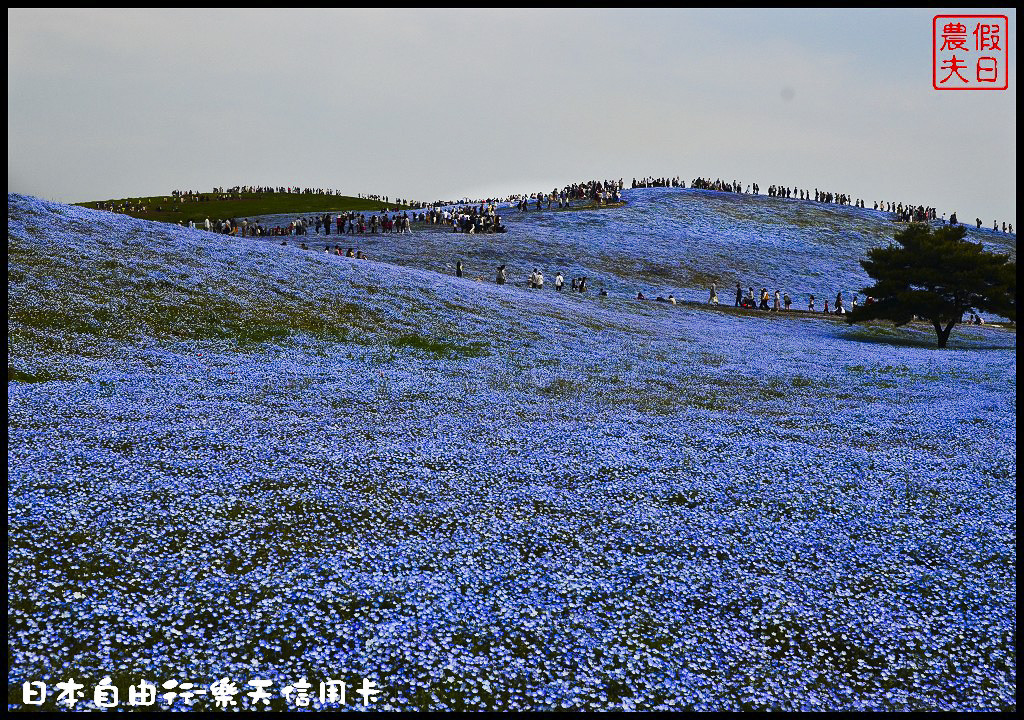 【日本旅遊】規劃一趟日本自助旅遊其實很簡單．機票、住宿、行程規劃/東京自由行/購物/藥妝店推薦 @假日農夫愛趴趴照