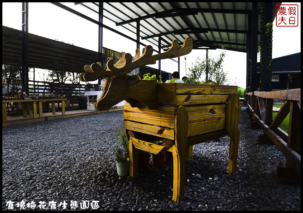 【屏東旅遊】恆春鹿境生態梅花鹿園（Paradise Of Deer）．來墾丁小奈良和梅花鹿零距離接觸/台版的奈良公園/梅花鹿/一日遊/親子遊/小鹿斑比 @假日農夫愛趴趴照