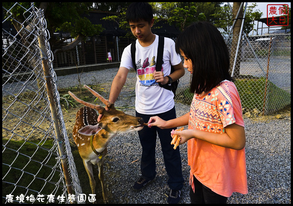 【屏東旅遊】恆春鹿境生態梅花鹿園（Paradise Of Deer）．來墾丁小奈良和梅花鹿零距離接觸/台版的奈良公園/梅花鹿/一日遊/親子遊/小鹿斑比 @假日農夫愛趴趴照