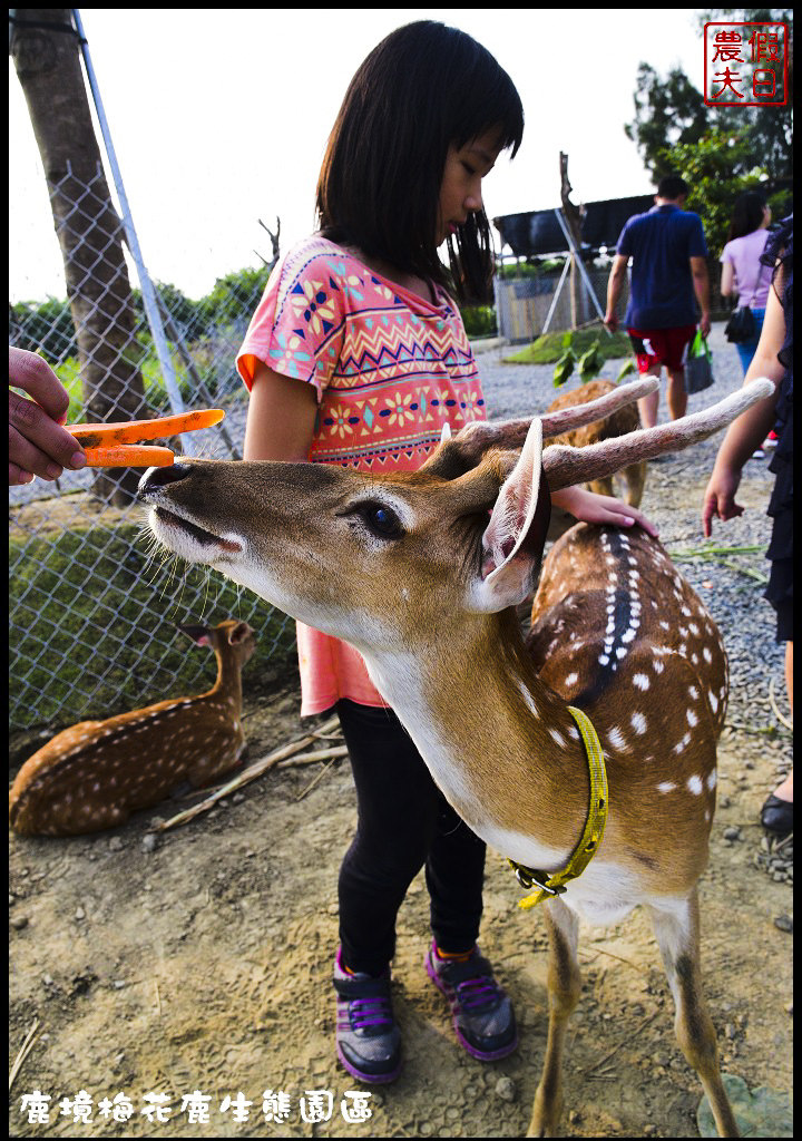 【屏東旅遊】恆春鹿境生態梅花鹿園（Paradise Of Deer）．來墾丁小奈良和梅花鹿零距離接觸/台版的奈良公園/梅花鹿/一日遊/親子遊/小鹿斑比 @假日農夫愛趴趴照