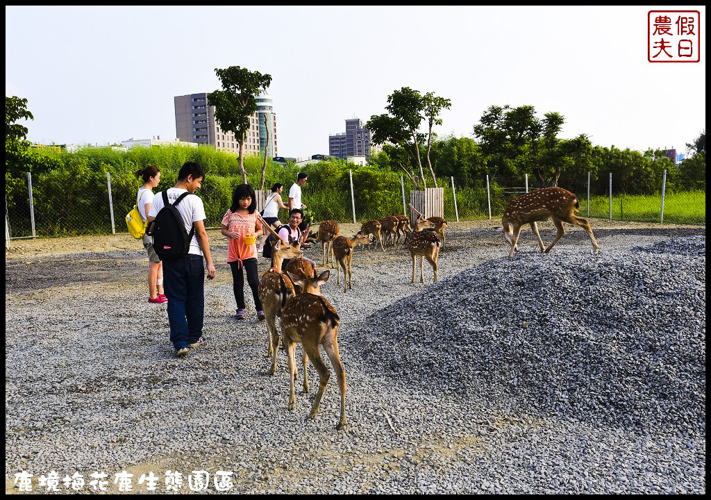 【屏東旅遊】恆春鹿境生態梅花鹿園（Paradise Of Deer）．來墾丁小奈良和梅花鹿零距離接觸/台版的奈良公園/梅花鹿/一日遊/親子遊/小鹿斑比 @假日農夫愛趴趴照