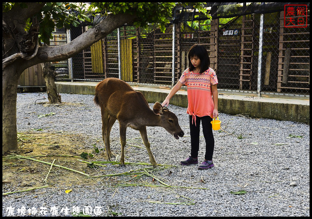 【屏東旅遊】恆春鹿境生態梅花鹿園（Paradise Of Deer）．來墾丁小奈良和梅花鹿零距離接觸/台版的奈良公園/梅花鹿/一日遊/親子遊/小鹿斑比 @假日農夫愛趴趴照