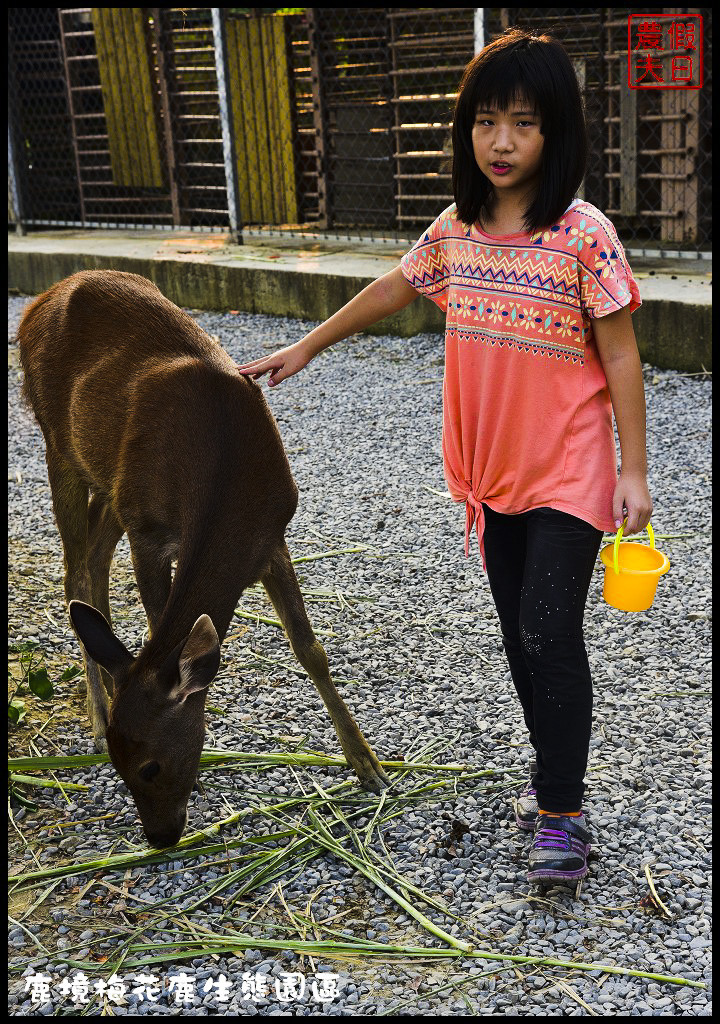 【屏東旅遊】恆春鹿境生態梅花鹿園（Paradise Of Deer）．來墾丁小奈良和梅花鹿零距離接觸/台版的奈良公園/梅花鹿/一日遊/親子遊/小鹿斑比 @假日農夫愛趴趴照