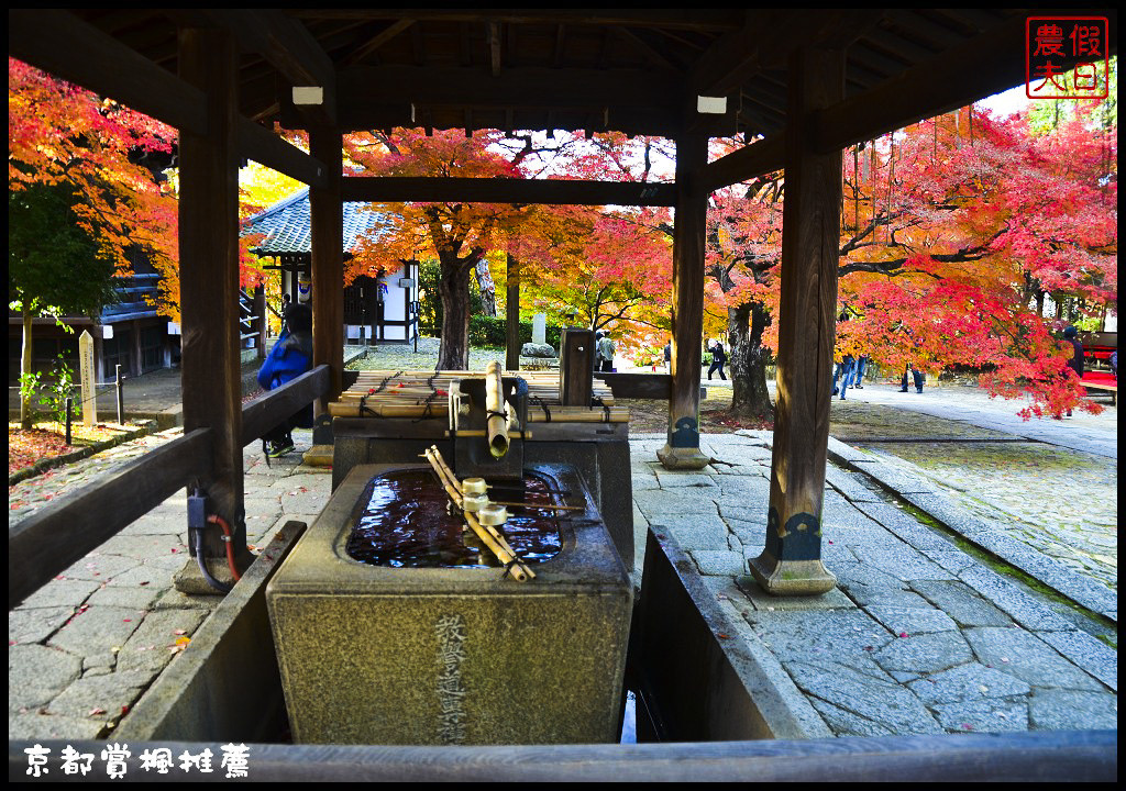 【日本旅遊京都賞楓】一次賞遍京都12大紅葉名所．清水寺/東福寺/永觀堂/嵐山一日遊/楓葉/門票資訊/交通方式/腳架 @假日農夫愛趴趴照