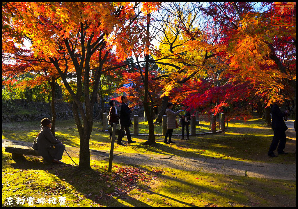 【日本旅遊京都賞楓】一次賞遍京都12大紅葉名所．清水寺/東福寺/永觀堂/嵐山一日遊/楓葉/門票資訊/交通方式/腳架 @假日農夫愛趴趴照