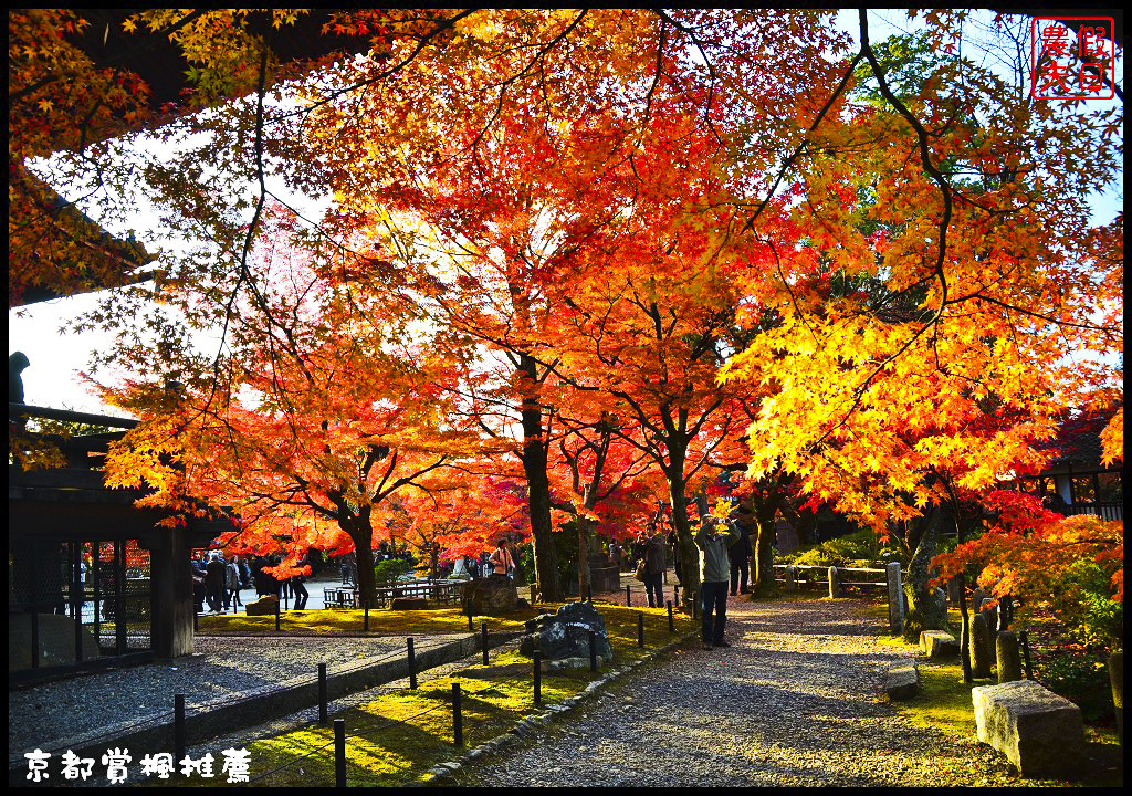 【日本旅遊京都賞楓】一次賞遍京都12大紅葉名所．清水寺/東福寺/永觀堂/嵐山一日遊/楓葉/門票資訊/交通方式/腳架 @假日農夫愛趴趴照