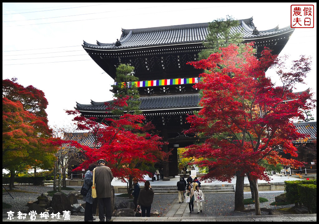 【日本旅遊京都賞楓】一次賞遍京都12大紅葉名所．清水寺/東福寺/永觀堂/嵐山一日遊/楓葉/門票資訊/交通方式/腳架 @假日農夫愛趴趴照