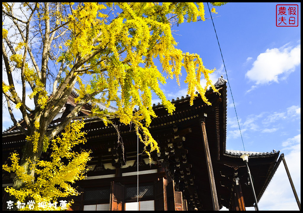 【日本旅遊京都賞楓】一次賞遍京都12大紅葉名所．清水寺/東福寺/永觀堂/嵐山一日遊/楓葉/門票資訊/交通方式/腳架 @假日農夫愛趴趴照