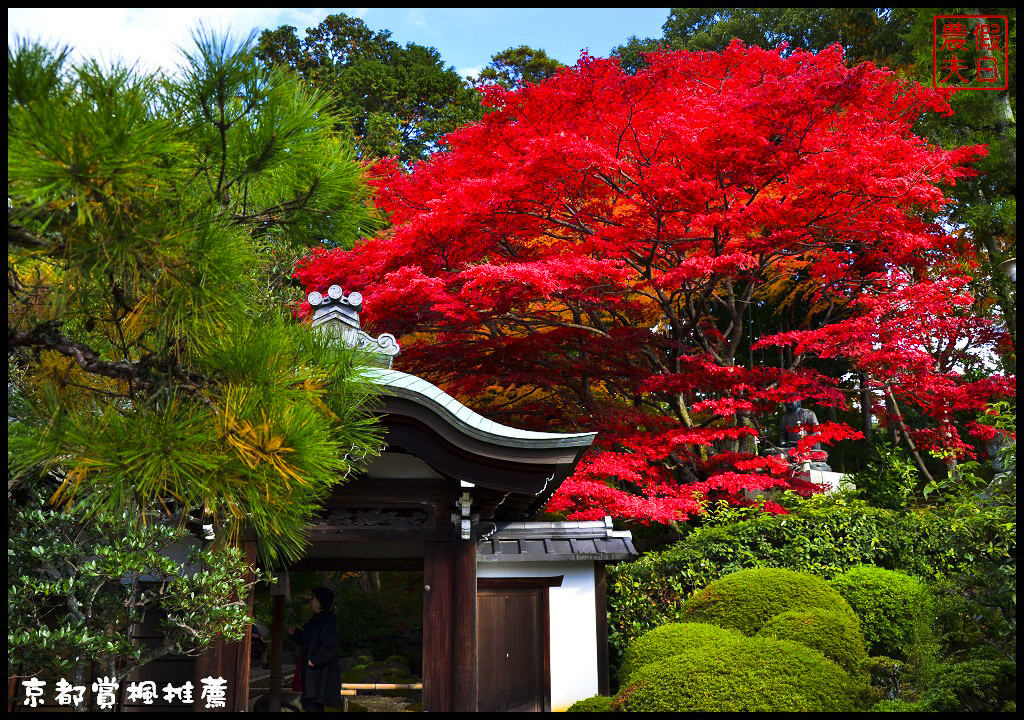 【日本旅遊京都賞楓】一次賞遍京都12大紅葉名所．清水寺/東福寺/永觀堂/嵐山一日遊/楓葉/門票資訊/交通方式/腳架 @假日農夫愛趴趴照