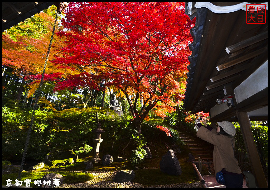 【日本旅遊京都賞楓】一次賞遍京都12大紅葉名所．清水寺/東福寺/永觀堂/嵐山一日遊/楓葉/門票資訊/交通方式/腳架 @假日農夫愛趴趴照