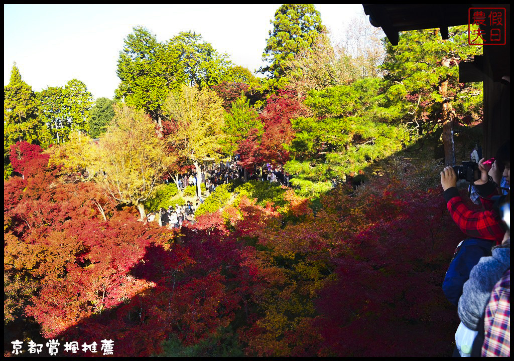 【日本旅遊京都賞楓】一次賞遍京都12大紅葉名所．清水寺/東福寺/永觀堂/嵐山一日遊/楓葉/門票資訊/交通方式/腳架 @假日農夫愛趴趴照