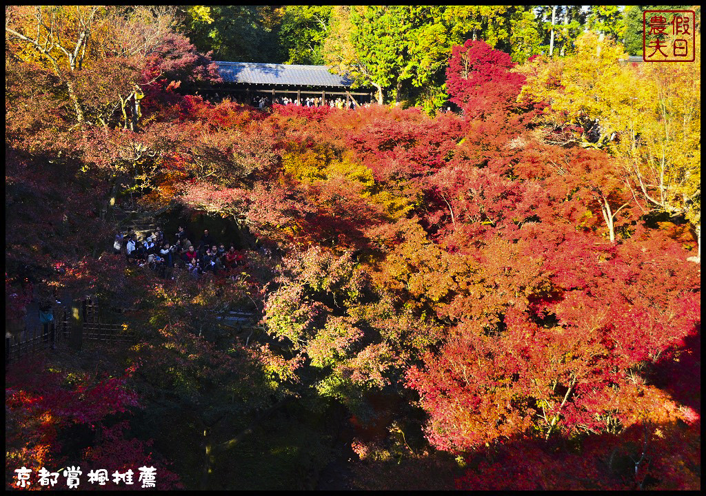 【日本旅遊京都賞楓】一次賞遍京都12大紅葉名所．清水寺/東福寺/永觀堂/嵐山一日遊/楓葉/門票資訊/交通方式/腳架 @假日農夫愛趴趴照