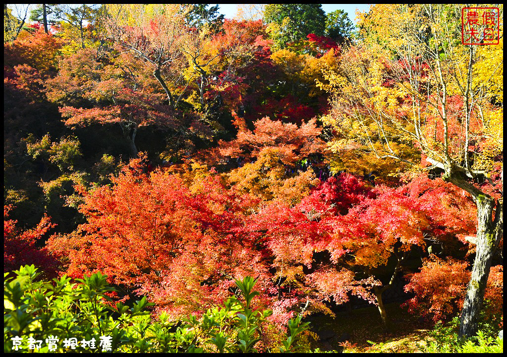 【日本旅遊京都賞楓】一次賞遍京都12大紅葉名所．清水寺/東福寺/永觀堂/嵐山一日遊/楓葉/門票資訊/交通方式/腳架 @假日農夫愛趴趴照