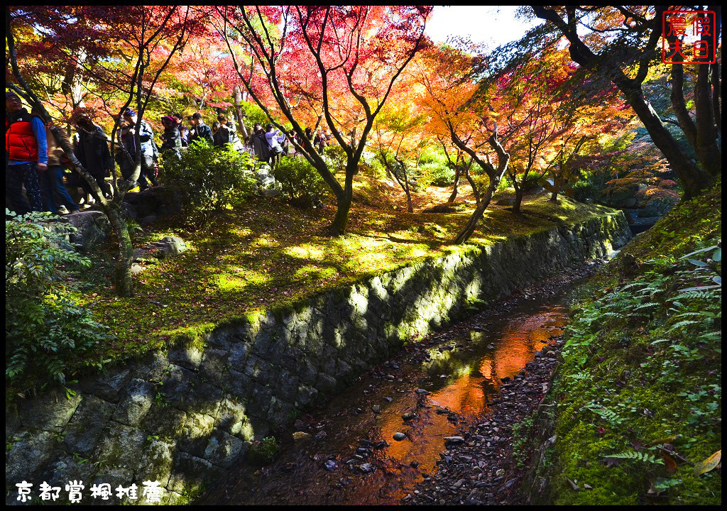 【日本旅遊京都賞楓】一次賞遍京都12大紅葉名所．清水寺/東福寺/永觀堂/嵐山一日遊/楓葉/門票資訊/交通方式/腳架 @假日農夫愛趴趴照