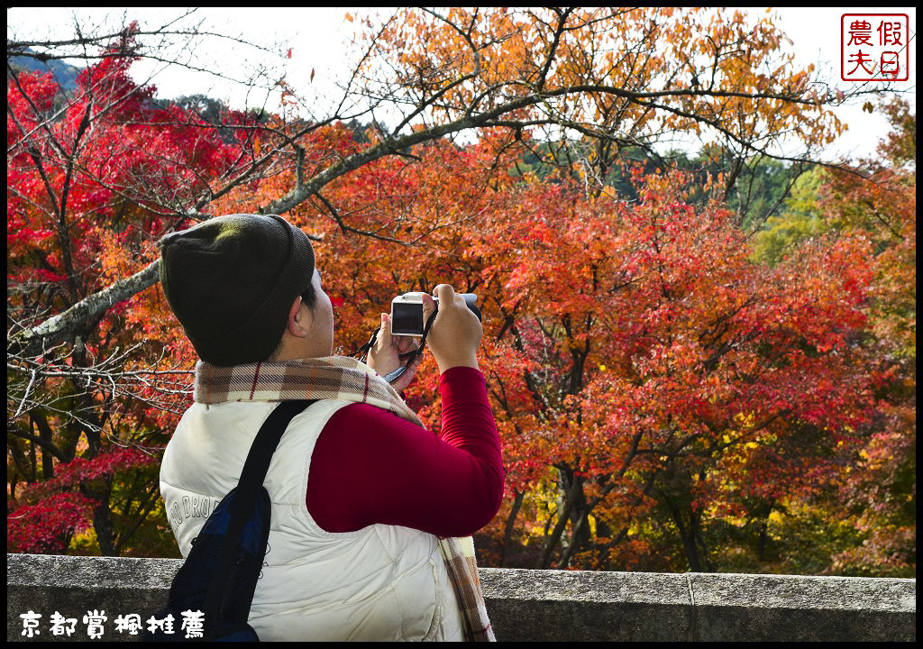 【日本旅遊京都賞楓】一次賞遍京都12大紅葉名所．清水寺/東福寺/永觀堂/嵐山一日遊/楓葉/門票資訊/交通方式/腳架 @假日農夫愛趴趴照