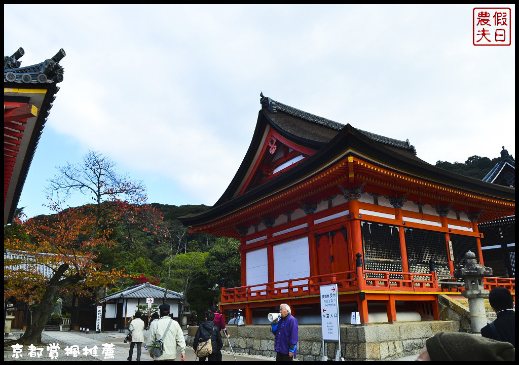 【日本旅遊京都賞楓】一次賞遍京都12大紅葉名所．清水寺/東福寺/永觀堂/嵐山一日遊/楓葉/門票資訊/交通方式/腳架 @假日農夫愛趴趴照