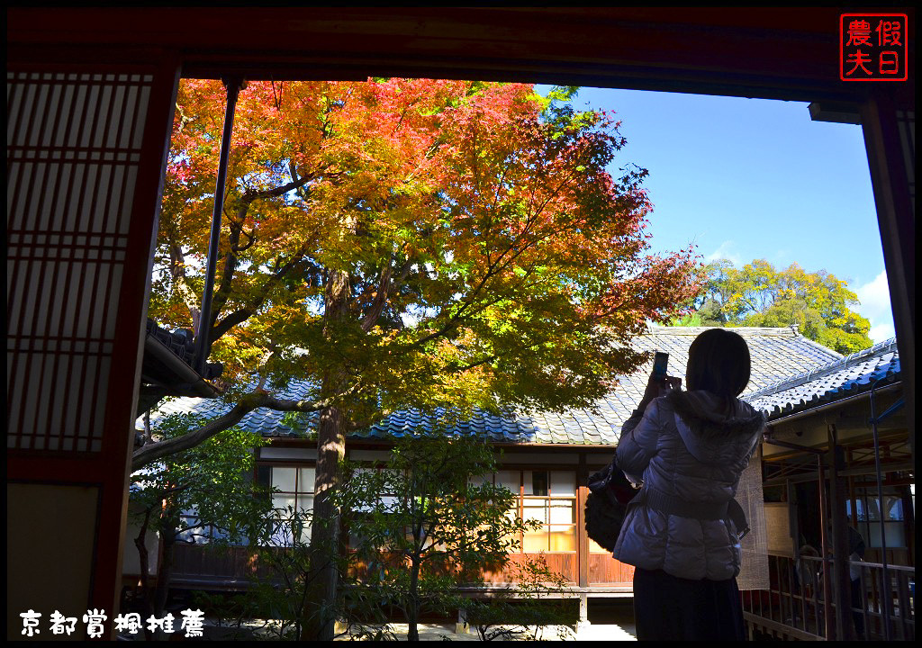 【日本旅遊京都賞楓】一次賞遍京都12大紅葉名所．清水寺/東福寺/永觀堂/嵐山一日遊/楓葉/門票資訊/交通方式/腳架 @假日農夫愛趴趴照