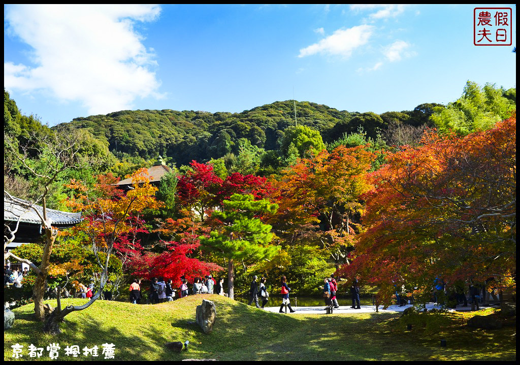 【日本旅遊京都賞楓】一次賞遍京都12大紅葉名所．清水寺/東福寺/永觀堂/嵐山一日遊/楓葉/門票資訊/交通方式/腳架 @假日農夫愛趴趴照