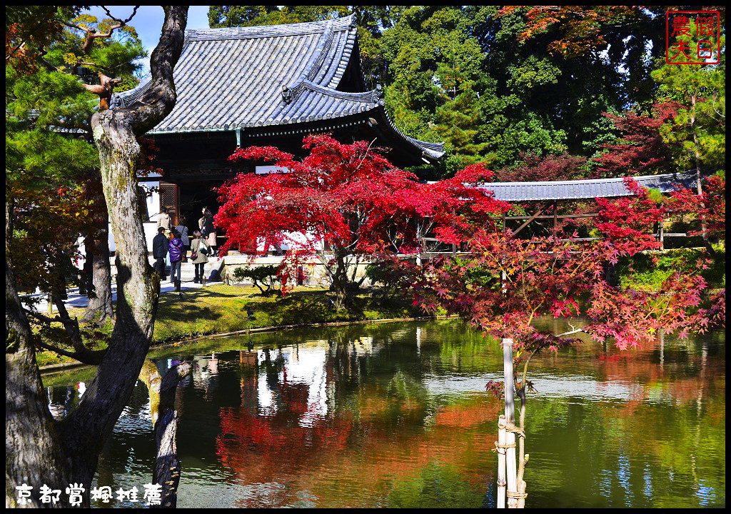 【日本旅遊京都賞楓】一次賞遍京都12大紅葉名所．清水寺/東福寺/永觀堂/嵐山一日遊/楓葉/門票資訊/交通方式/腳架 @假日農夫愛趴趴照