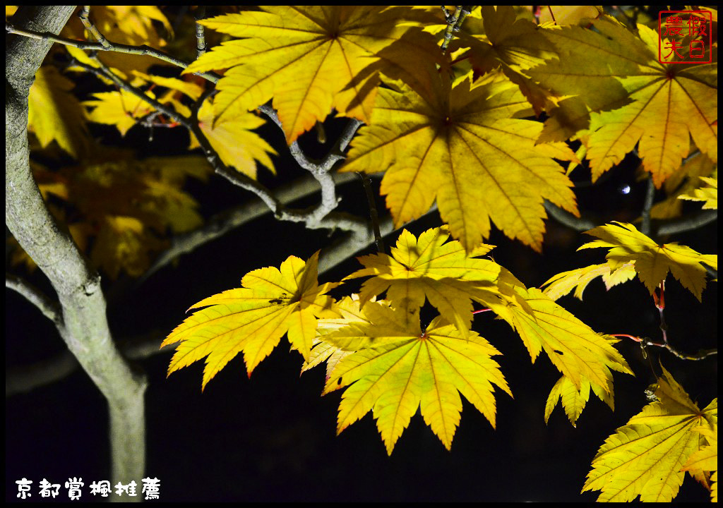 【日本旅遊京都賞楓】一次賞遍京都12大紅葉名所．清水寺/東福寺/永觀堂/嵐山一日遊/楓葉/門票資訊/交通方式/腳架 @假日農夫愛趴趴照