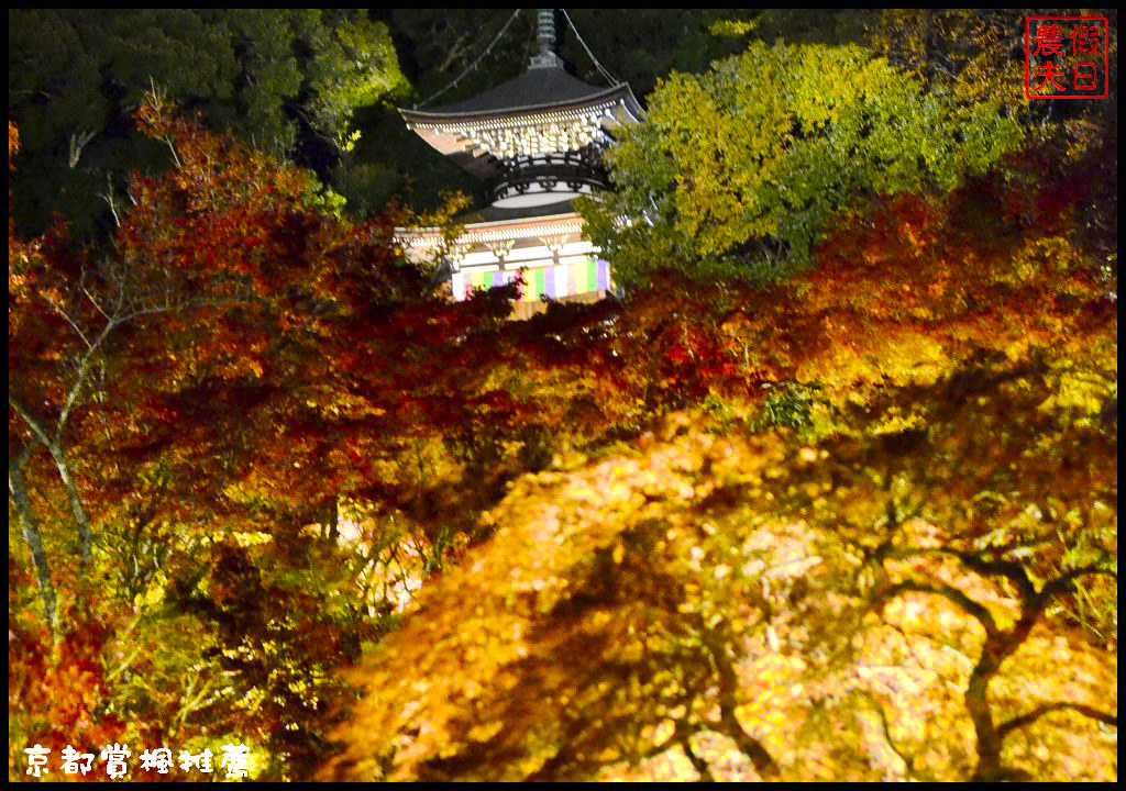 【日本旅遊京都賞楓】一次賞遍京都12大紅葉名所．清水寺/東福寺/永觀堂/嵐山一日遊/楓葉/門票資訊/交通方式/腳架 @假日農夫愛趴趴照