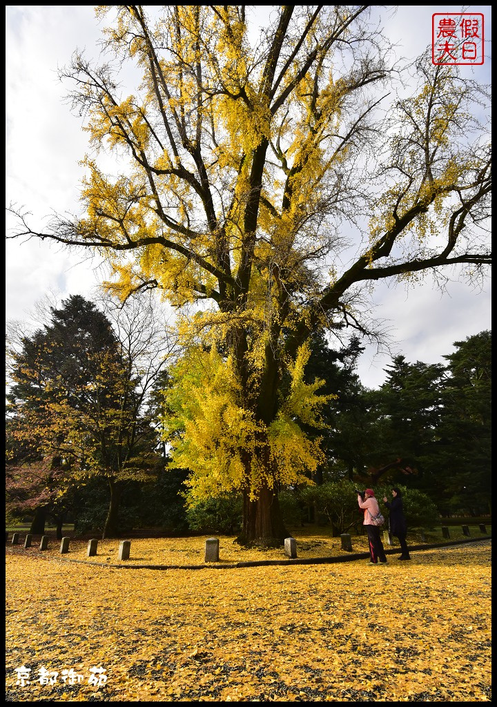 【日本旅遊京都賞楓】一次賞遍京都12大紅葉名所．清水寺/東福寺/永觀堂/嵐山一日遊/楓葉/門票資訊/交通方式/腳架 @假日農夫愛趴趴照