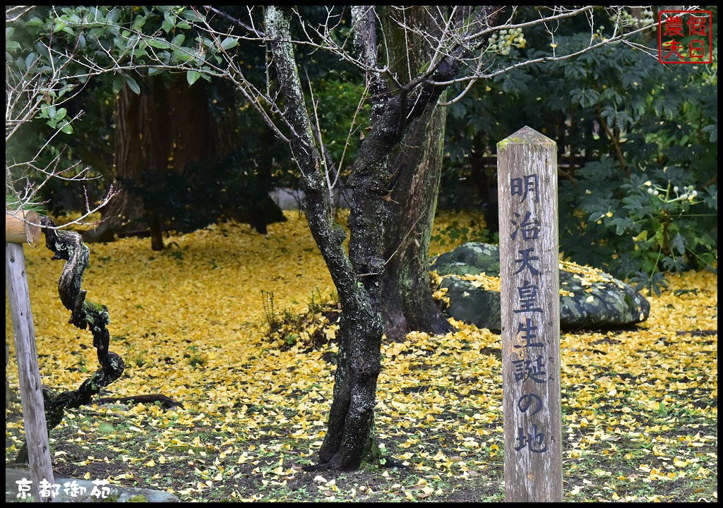 【日本旅遊京都賞楓】一次賞遍京都12大紅葉名所．清水寺/東福寺/永觀堂/嵐山一日遊/楓葉/門票資訊/交通方式/腳架 @假日農夫愛趴趴照