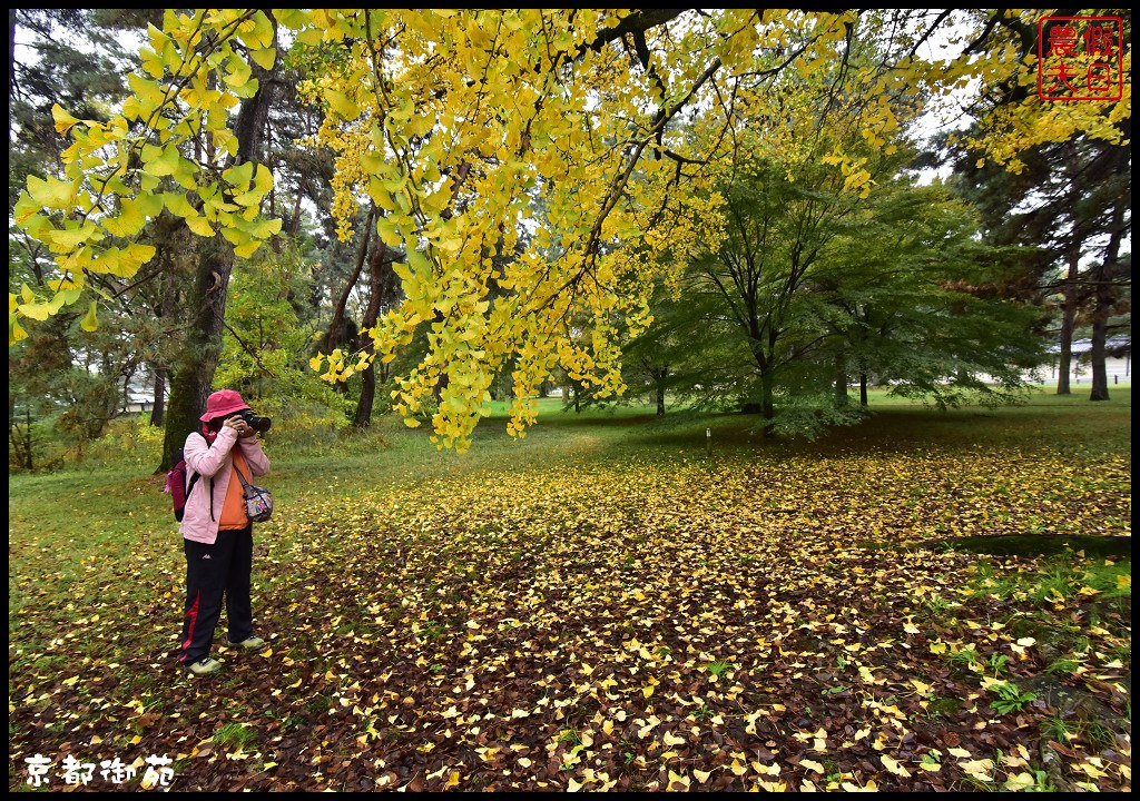 【日本旅遊京都賞楓】一次賞遍京都12大紅葉名所．清水寺/東福寺/永觀堂/嵐山一日遊/楓葉/門票資訊/交通方式/腳架 @假日農夫愛趴趴照