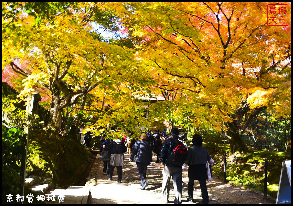 【日本旅遊京都賞楓】一次賞遍京都12大紅葉名所．清水寺/東福寺/永觀堂/嵐山一日遊/楓葉/門票資訊/交通方式/腳架 @假日農夫愛趴趴照