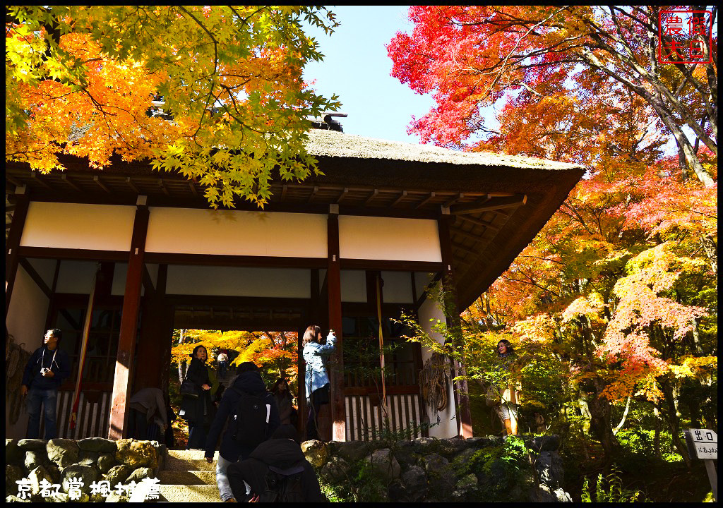 【日本旅遊京都賞楓】一次賞遍京都12大紅葉名所．清水寺/東福寺/永觀堂/嵐山一日遊/楓葉/門票資訊/交通方式/腳架 @假日農夫愛趴趴照