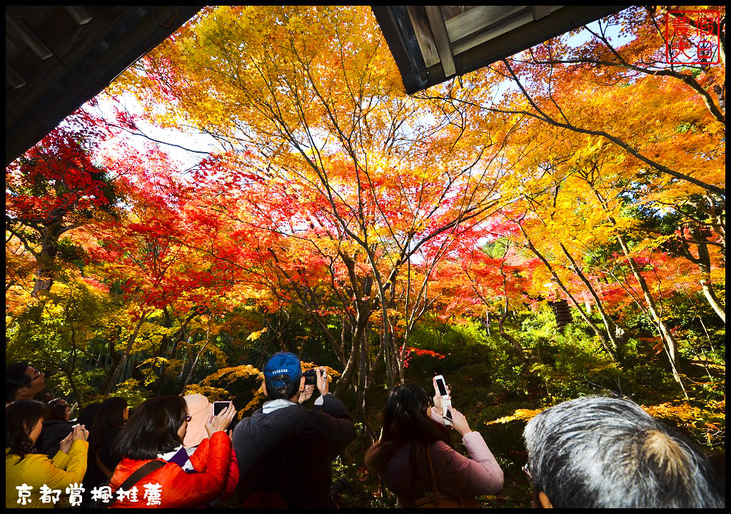 【日本旅遊京都賞楓】一次賞遍京都12大紅葉名所．清水寺/東福寺/永觀堂/嵐山一日遊/楓葉/門票資訊/交通方式/腳架 @假日農夫愛趴趴照