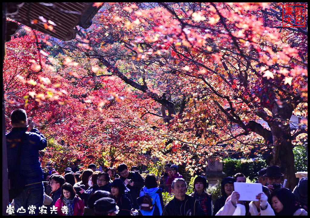 【日本旅遊京都賞楓】一次賞遍京都12大紅葉名所．清水寺/東福寺/永觀堂/嵐山一日遊/楓葉/門票資訊/交通方式/腳架 @假日農夫愛趴趴照