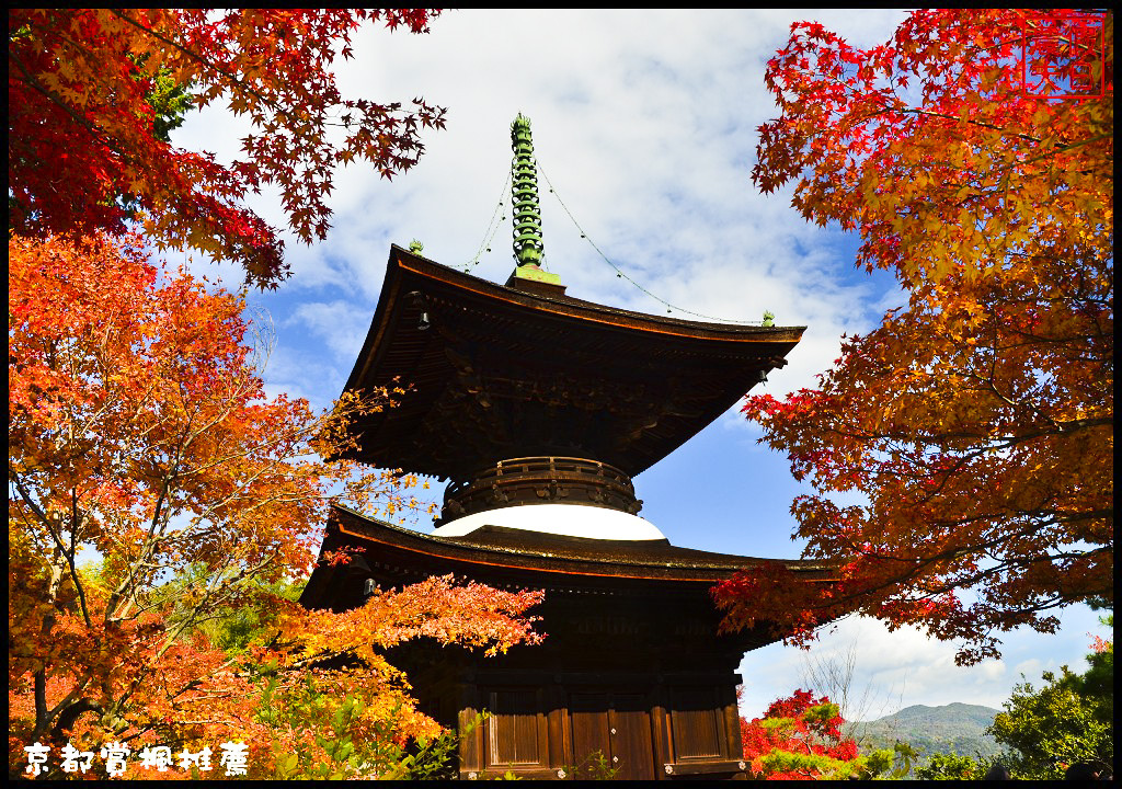 【日本旅遊京都賞楓】一次賞遍京都12大紅葉名所．清水寺/東福寺/永觀堂/嵐山一日遊/楓葉/門票資訊/交通方式/腳架 @假日農夫愛趴趴照