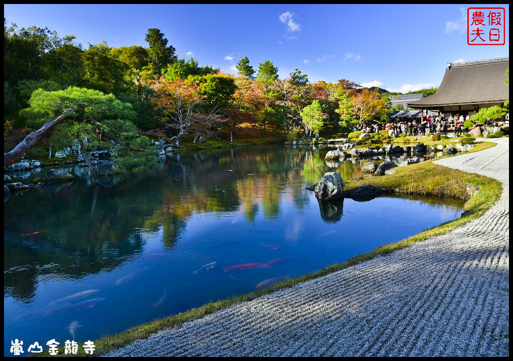 【日本旅遊京都賞楓】一次賞遍京都12大紅葉名所．清水寺/東福寺/永觀堂/嵐山一日遊/楓葉/門票資訊/交通方式/腳架 @假日農夫愛趴趴照