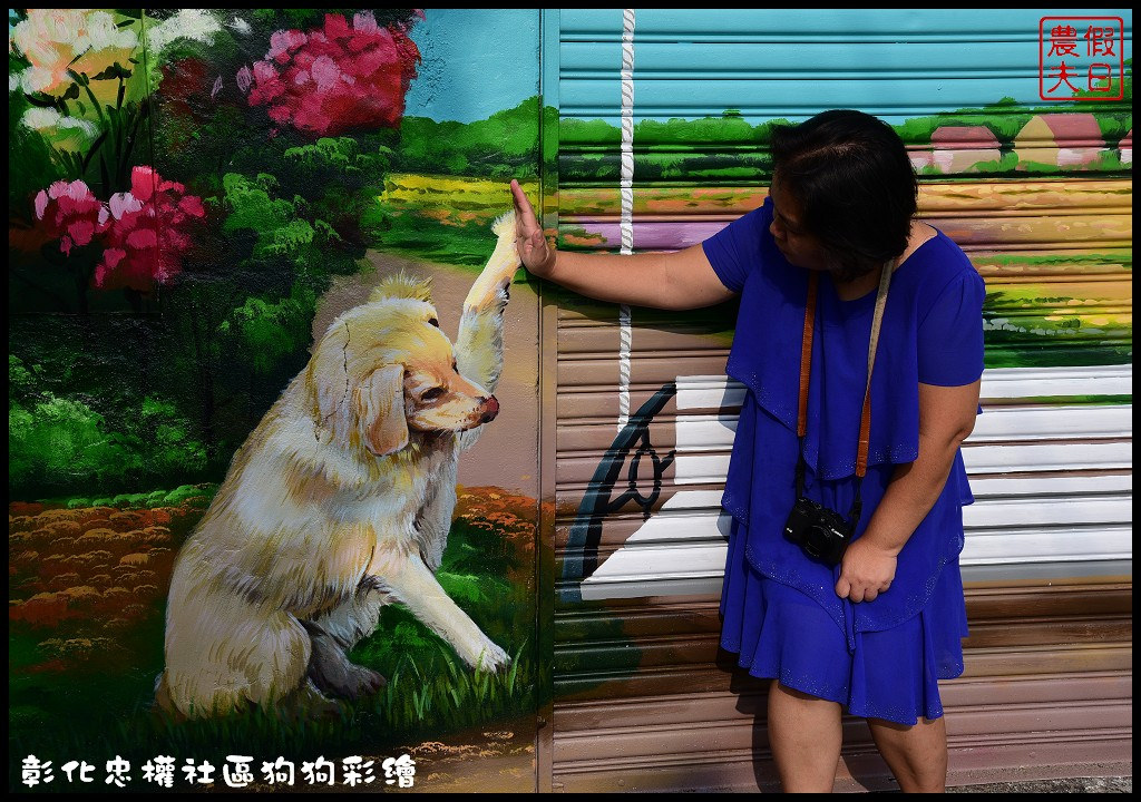 彰化市忠權社區．全台第一個以狗狗為主題的忠犬3D立體彩繪村 @假日農夫愛趴趴照