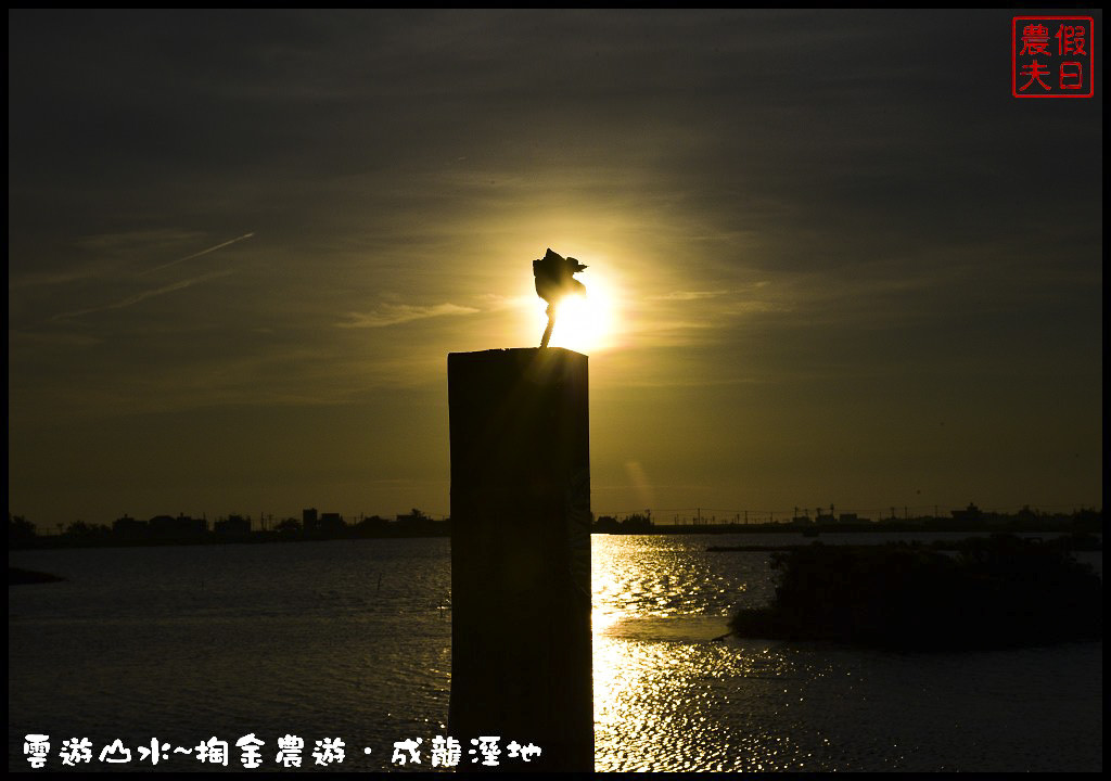 【雲林旅遊】雲遊山水~掏金農遊．口湖成龍溼地水核心的夕陽美景永留心中/梅姬颱風/賞鳥/一日遊 @假日農夫愛趴趴照