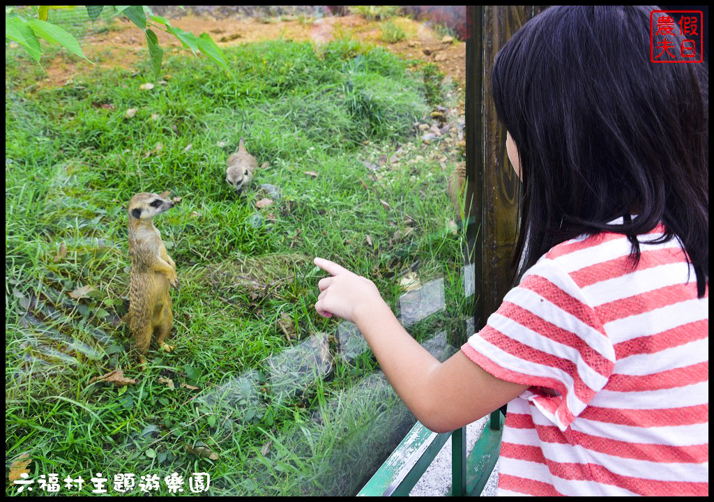 【新竹景點】六福村主題遊樂園．Lineup讓你快速通關免排免等免曬太陽免淋雨輕鬆享受貴賓級禮遇/迪士尼/環球影城/一日遊/親子遊/手機APP @假日農夫愛趴趴照