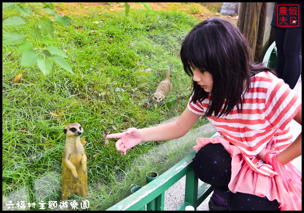 【新竹景點】六福村主題遊樂園．Lineup讓你快速通關免排免等免曬太陽免淋雨輕鬆享受貴賓級禮遇/迪士尼/環球影城/一日遊/親子遊/手機APP @假日農夫愛趴趴照