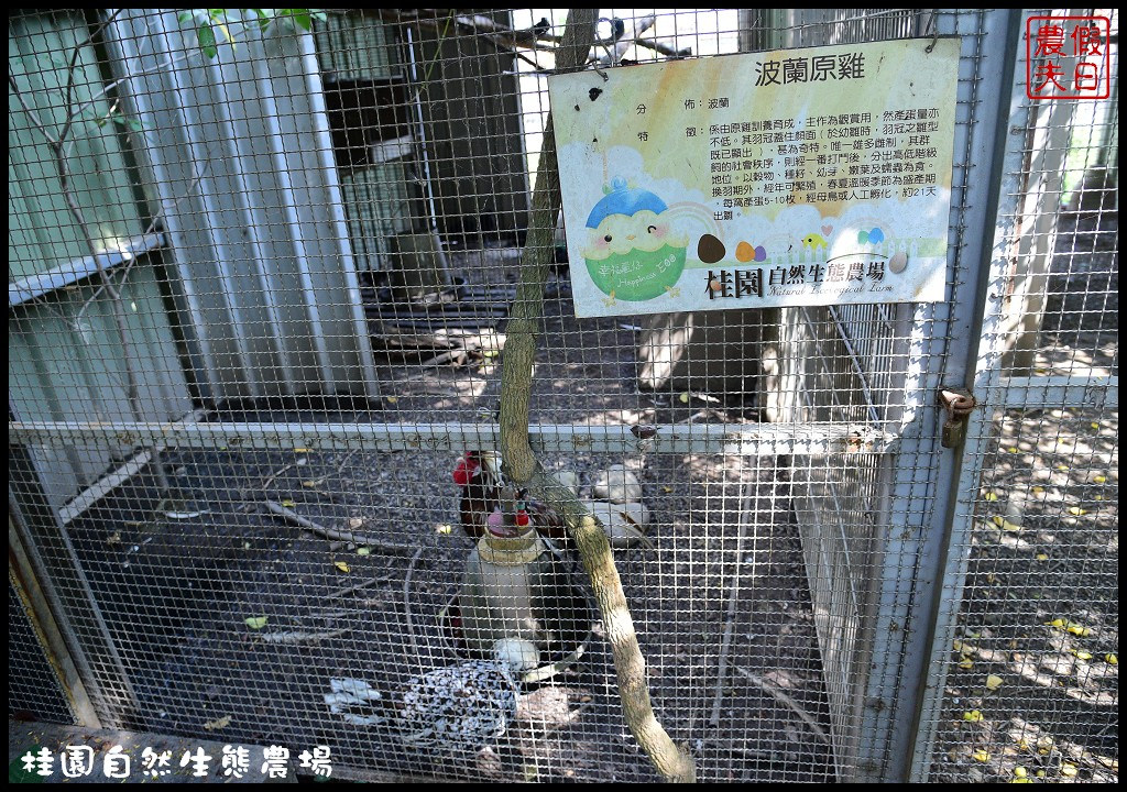 【彰化景點】桂園自然生態農場．體驗鄉下生活/一日遊/休閒農場/親子遊/觀光農場/免費參觀 @假日農夫愛趴趴照