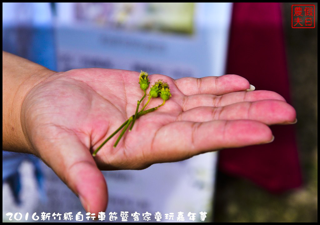 【新竹活動】2016新竹縣自行車節暨客家童玩嘉年華．創意百變造型自行車大賽/手作客家童玩闖關活動/免費DIY @假日農夫愛趴趴照