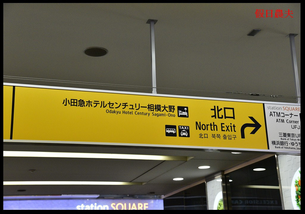 【東京旅遊】神奈川県立相模原公園．絕美落羽松並木大道/秋季限定/免費觀景台 @假日農夫愛趴趴照