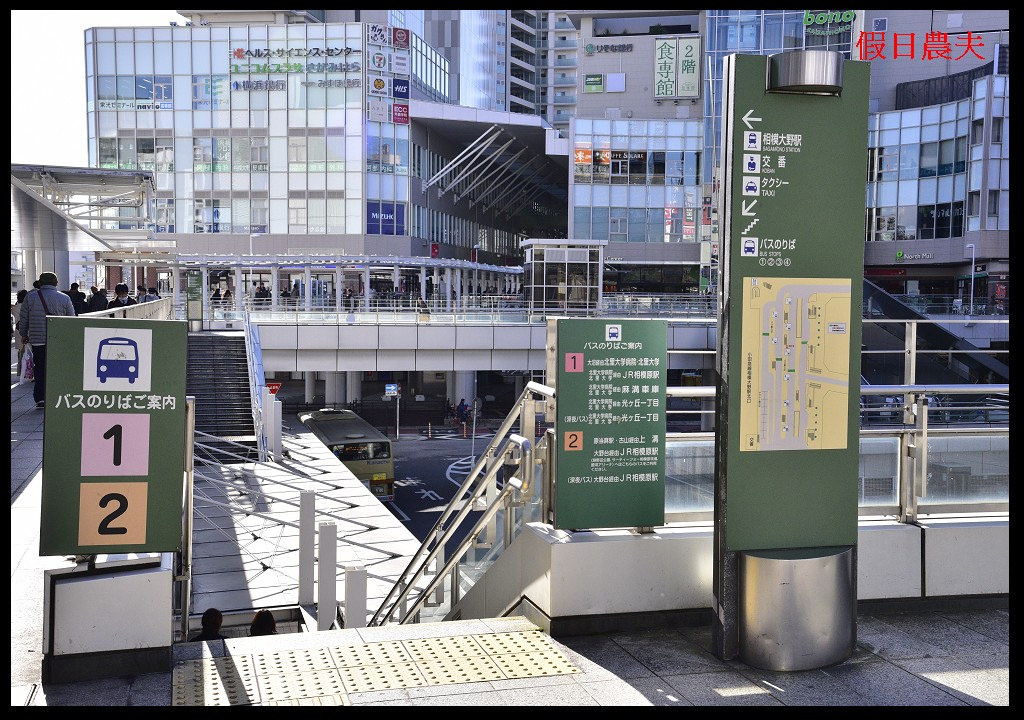 【東京旅遊】神奈川県立相模原公園．絕美落羽松並木大道/秋季限定/免費觀景台 @假日農夫愛趴趴照